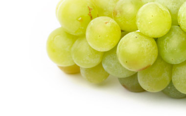 white wine grapes