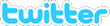 Twitter icon